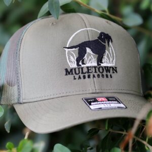 MT Labradors Hat